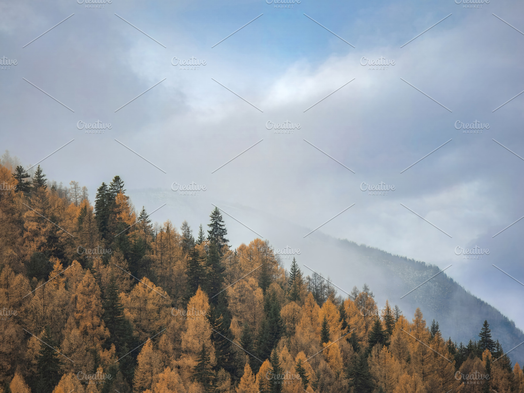 Autumn landscape with foggy mountain, a Photo by Fascinadora