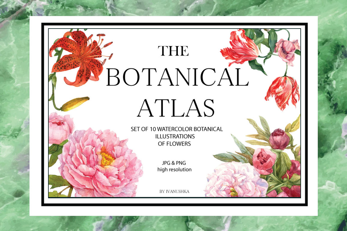 Watercolor botanical flowers, a Decorative Illustration by ivanushka-art (Photo 4 of 5)