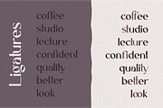 Caligna Serif, a Serif Font by 24Design Studios (Thumbnail 7 of 7)