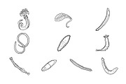 Breeds Worm Hand-Drawn Vol. 2, an Animal Illustration by SLAB! Design (Thumbnail 3 of 3)