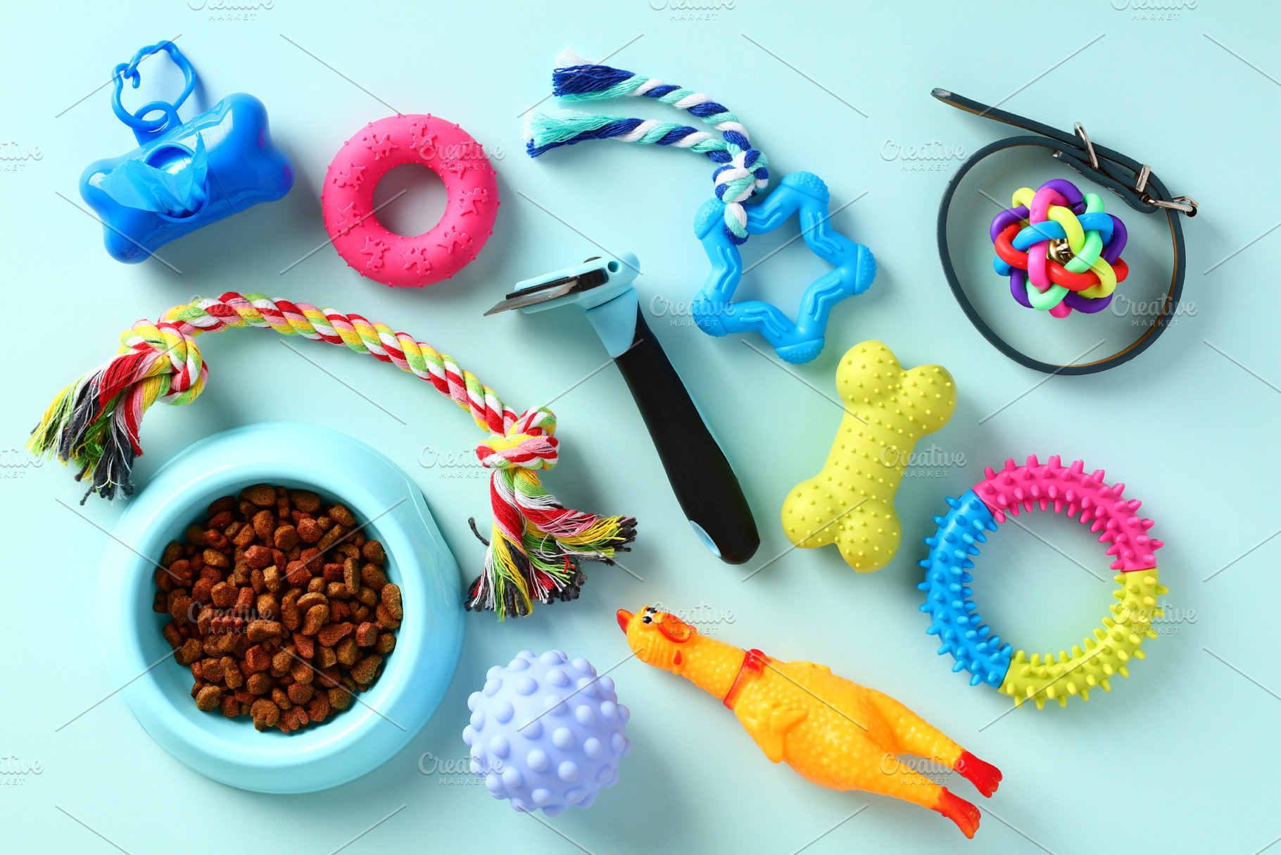 Pet toys and food on blue background. Dog toys, grooming supplies, accessories., a Holiday Photo by photoguns
