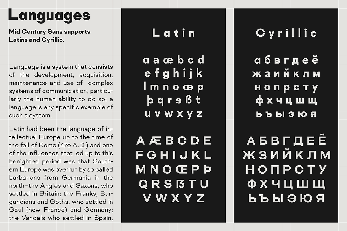 Mid Century Sans, a Sans Serif Font by Dharma Type (Photo 6 of 12)