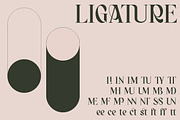 BAGERICH FONT, a Sans Serif Font by Bagerich Type Foundry (Thumbnail 5 of 7)