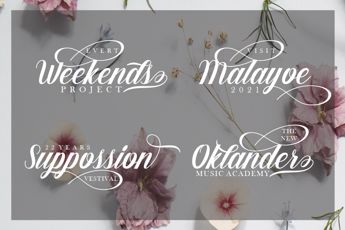 Barna, a Script Font by studiobasic (Photo 5 of 7)