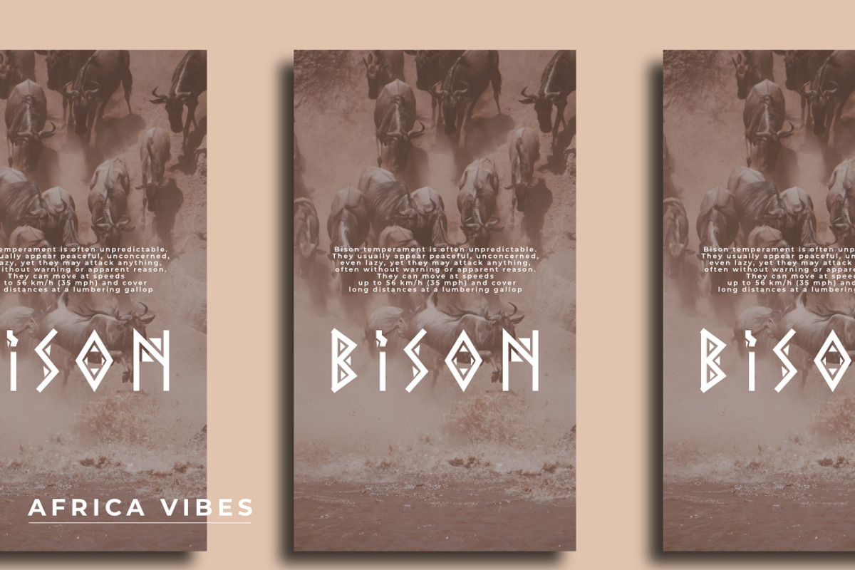 AFRICA VIBES FONT DISPLAY, a Serif Font by Andika Fez (Photo 5 of 8)