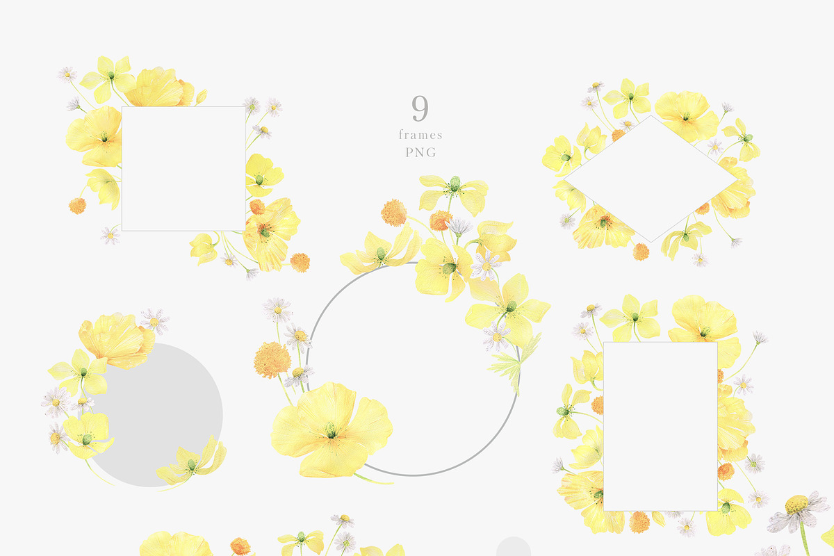 Wildflowers, poppies and herbs, a Food Illustration by astelenadesign (Photo 5 of 19)