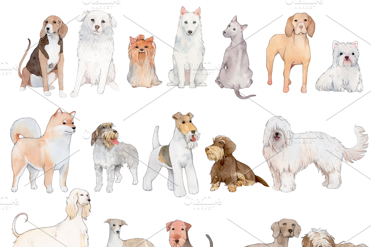190+ Hand-drawn Watercolor Dogs, an Animal Illustration by ArtbyHien (Photo 8 of 12)