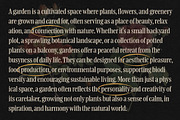 Boldentia, a Serif Font by graphicook (Thumbnail 9 of 10)