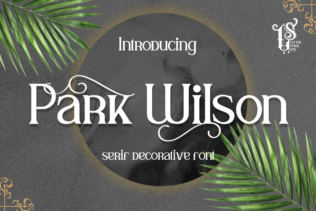 Park Wilson, a Serif Font by LetterStock (Photo 1 of 8)