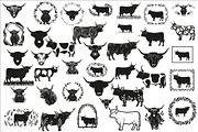Rustic Highland cow wall art design, an Illustration by Amazin_art (Thumbnail 1 of 40)