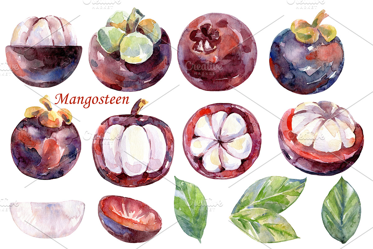 Watercolor tropical fruits., an Illustration by TaPilipa (Photo 23 of 39)