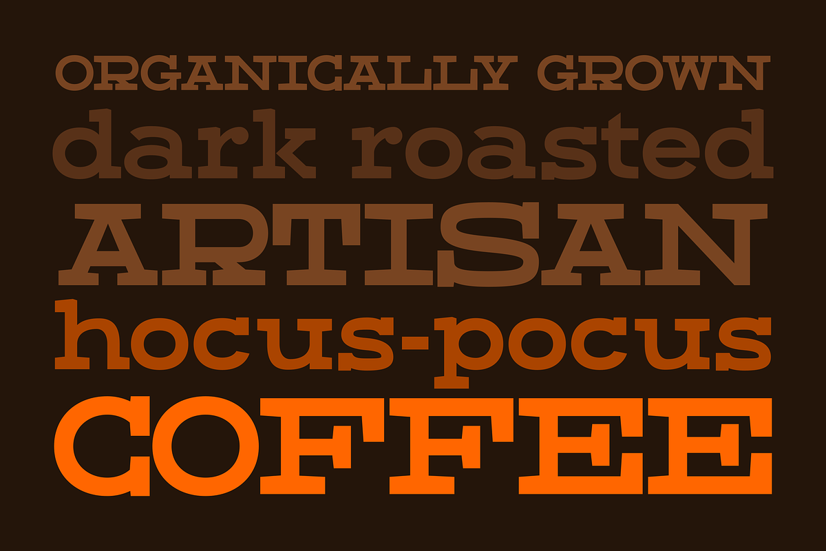 Dried Plums - Display Font, a Serif Font by Suolahti Type (Photo 7 of 11)