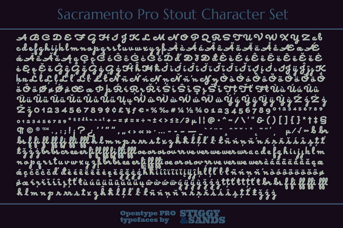 Sacramento Pro Stout preview 5