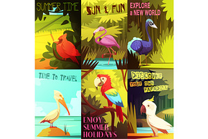 Birds Cartoon Set