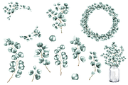 Eucalyptus Watercolor Illustrations, a Decorative Illustration by DioFlow (Thumbnail 4 of 11)