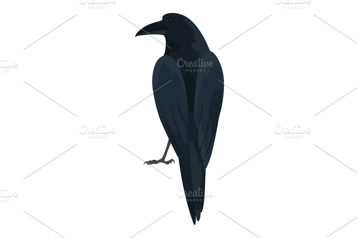 City bird, icon. European colorful, an Animal Illustration by the8monkey