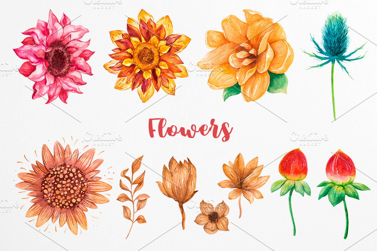 Fall collection. Watercolor., a Decorative Illustration by AlexGreenArt (Photo 4 of 11)