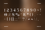 Drazelle Modern Editorial Serif Font, a Serif Font by Rasio Studio (Thumbnail 3 of 9)