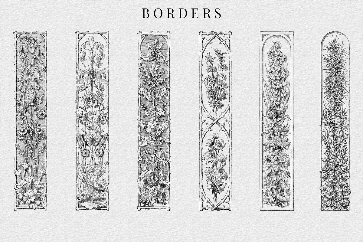 Procreate Vintage Nature Borders, a Brush Add-On by AW Studios