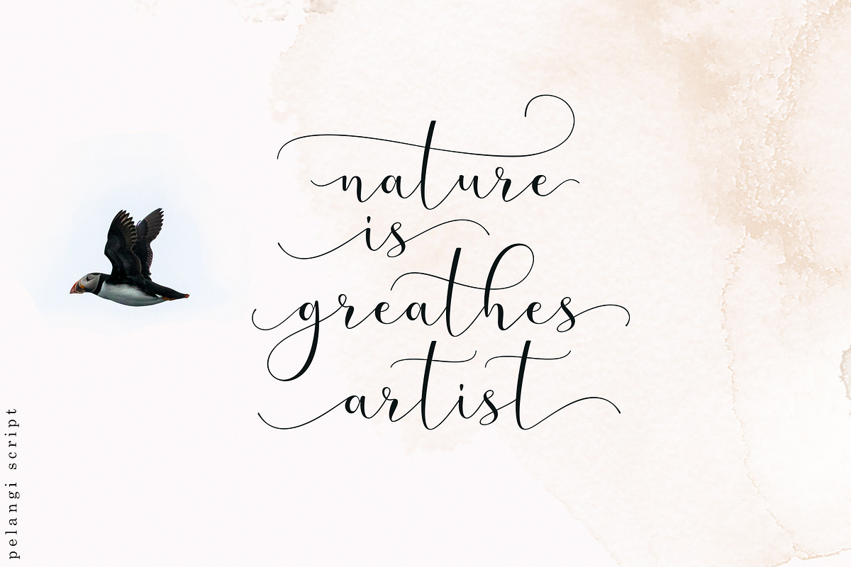 Pelangi script, a Script Font by Sulthan Studio (Photo 8 of 9)