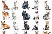 Watercolor Cats Clipart Pack (PNG), an Animal Illustration by DesignBTF (Thumbnail 2 of 8)