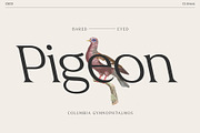CS Briseis – Luxury Serif Font, a Serif Font by Craft Supply Co. (Thumbnail 5 of 8)