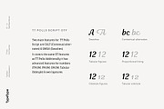 TT Polls, a Slab Serif Font by TypeType (Thumbnail 9 of 18)