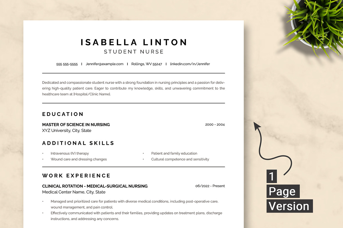 Student Nurse Resume Template preview 2