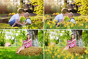 Daffodils Flowers photo overlays, a Layer Style Add-On by BrownLeopard (Thumbnail 5 of 7)