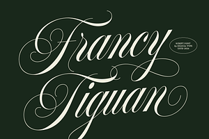 Francy Tiguan | Classy Script Font