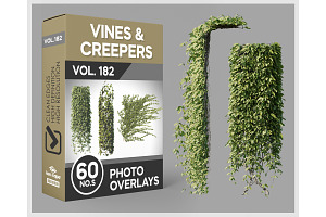 60 Vines & Creepers Photo Overlays