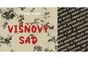 Panda Font, a Sans Serif Font by Zagach Letters (Thumbnail 5 of 9)