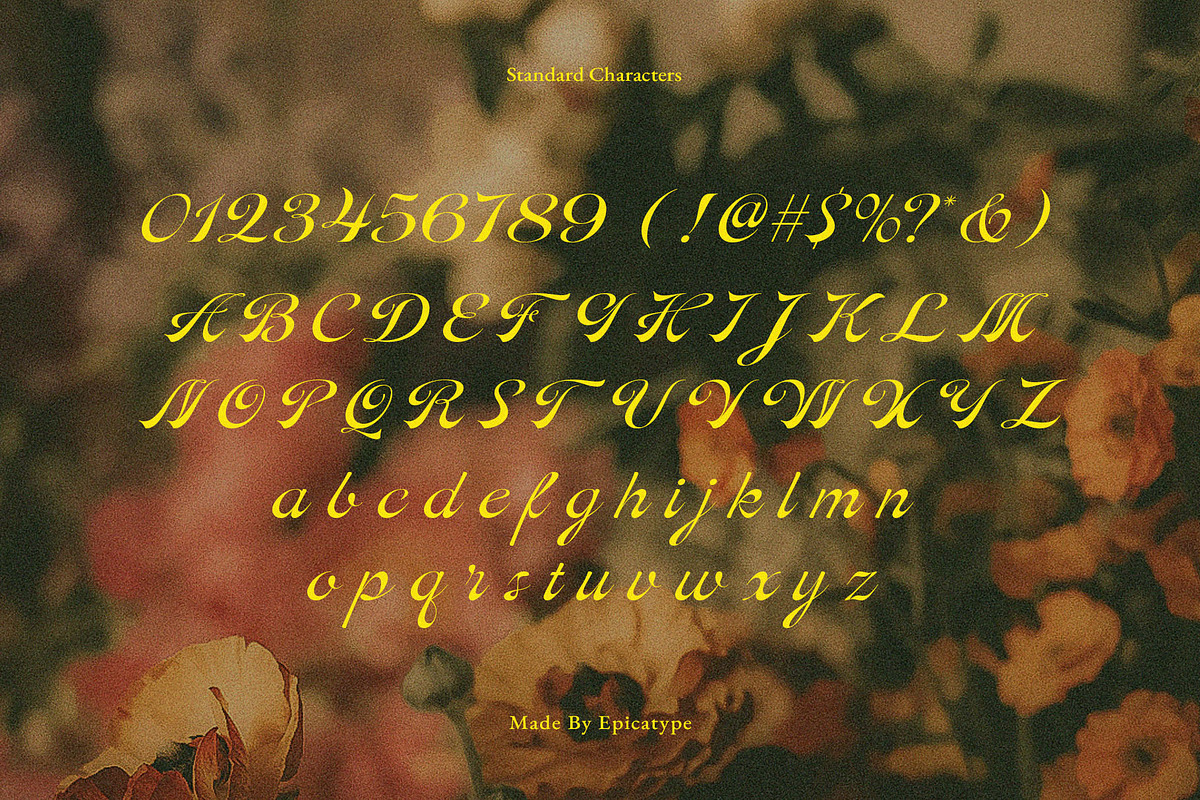 Vomiberg || Retro Script Font, a Script Font by epicatype (Photo 10 of 11)