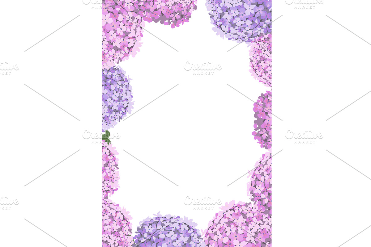 Hydrangea flower frame. Hand drawn, an Object Illustration by Nenahliadava Design