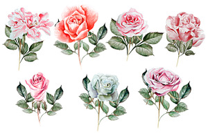 Hand Drawn Watercolor Roses 2