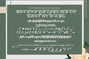 Slangtury Bohemis Elegant Bold, a Handwritten Font by operatype.co (Thumbnail 8 of 8)