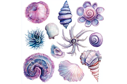 Prompt Sea Shells Flower Clipart, a Decorative Illustration by Creative design (Thumbnail 3 of 7)
