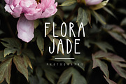 Bellflower Font, a Sans Serif Font by Lilac Paperie (Thumbnail 3 of 5)