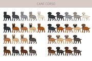 Cane Corso dog clip art, an Animal Illustration by pet design shop (Thumbnail 7 of 9)