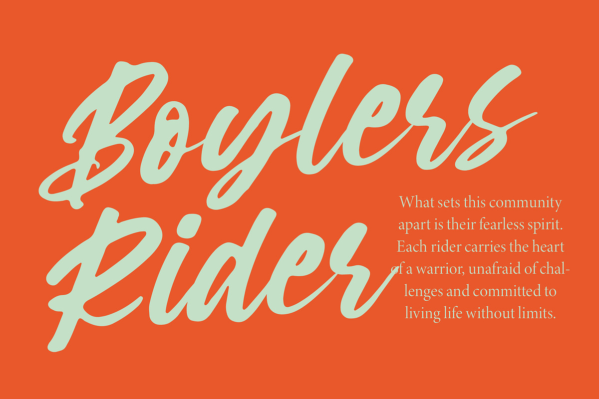 Souther Daleska Modern Brush Font, a Script Font by Letterena Studios Script (Photo 6 of 15)