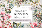 Gumnut Blossom Clipart Transparent, a Decorative Illustration by Pawcasso's Portraits (Thumbnail 1 of 6)