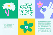 Still Gentle Modern Brush Font, a Script Font by stylishtype.co (Thumbnail 3 of 20)