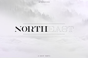 NorthEast - 4 serif fonts, a Serif Font by VP Fonts (Thumbnail 1 of 12)