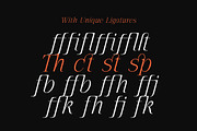 The Pixel Editorial – Modern Serif, a Sans Serif Font by Lettertype Studio (Thumbnail 12 of 15)