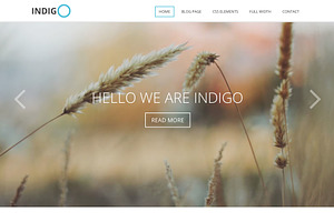 Indigo - Multi-Purpose Theme