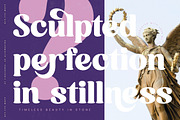 Mathreal Modern Display Serif, a Serif Font by timelesstype.co (Thumbnail 9 of 20)