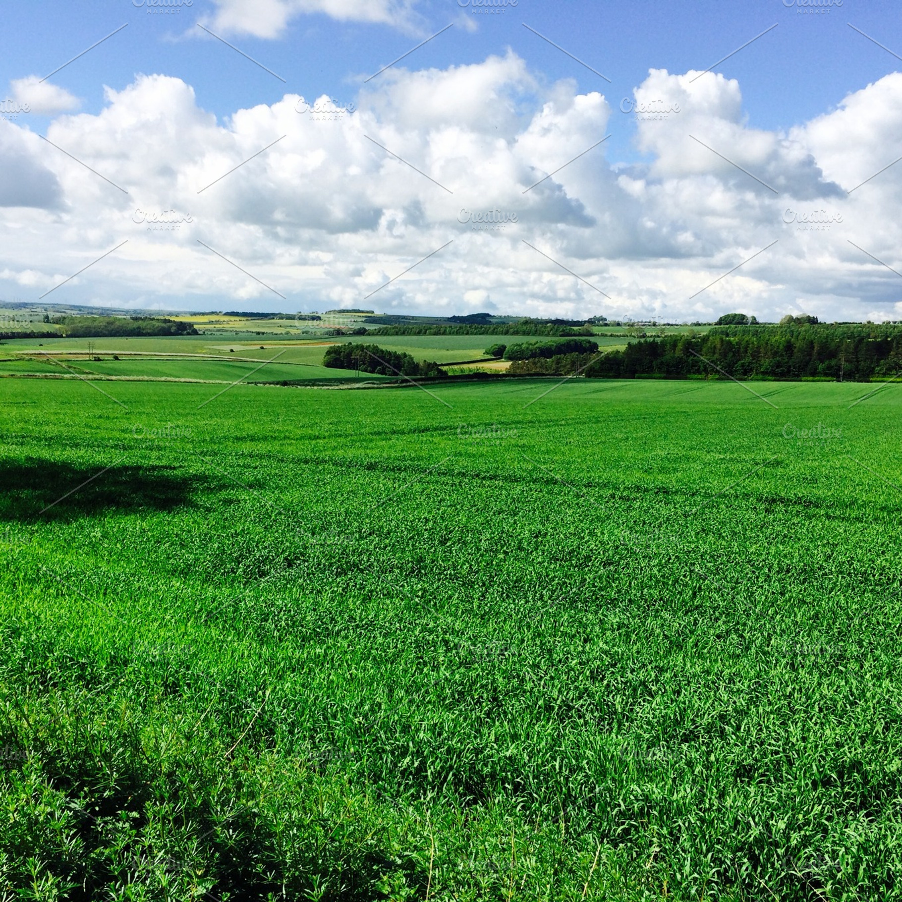 Green English Countryside