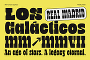 TNSC Bink - Slab Serif Display, a Slab Serif Font by The Native Saint Club (Thumbnail 11 of 16)