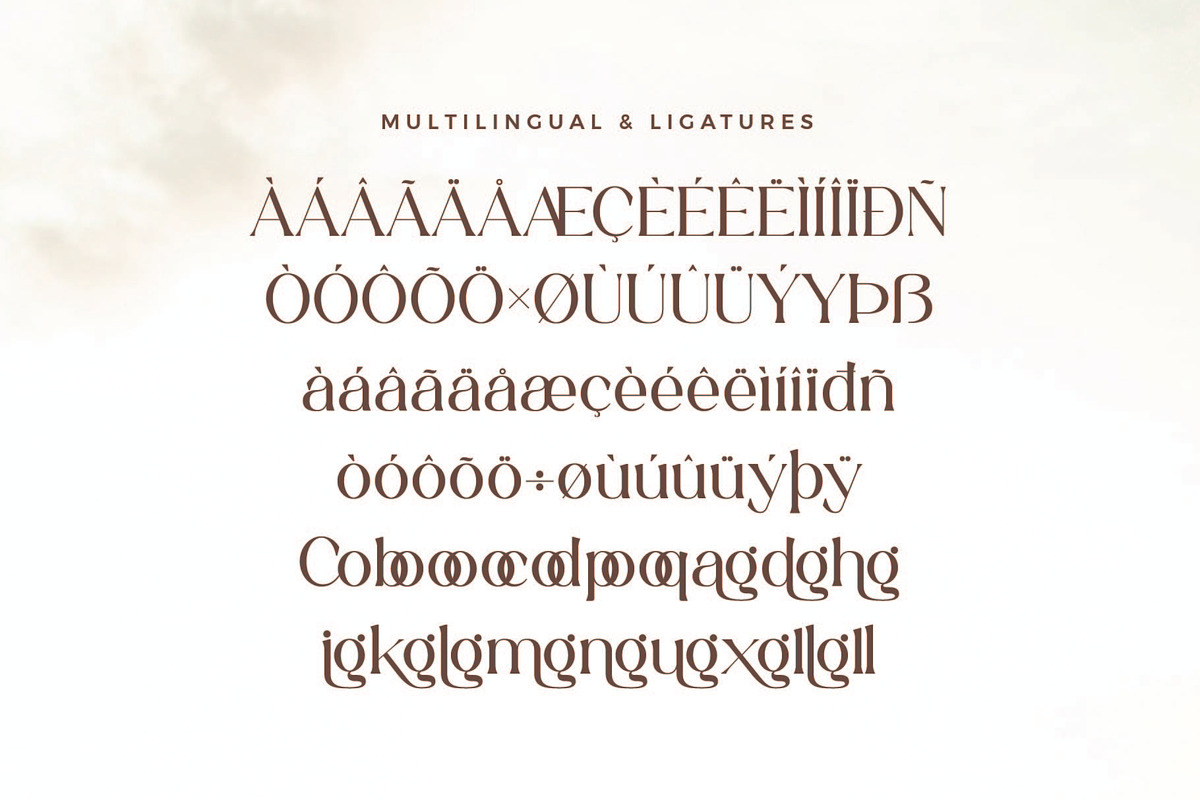 Collgan - Modern Serif Font preview 8