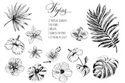 Tropical flowers and leaves, an Illustration by Elena Dorosh (Thumbnail 2 of 7)